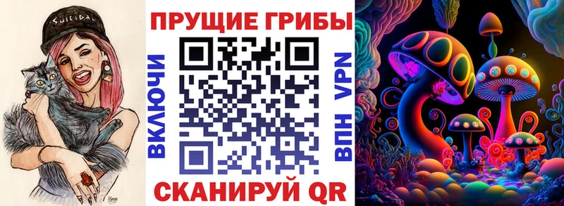 даркнет сайт  Пушкино  Галлюциногенные грибы мухоморы 